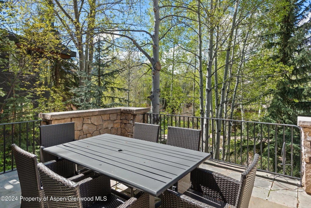 14 of 29 - 1530 Silver King Drive, Aspen, CO