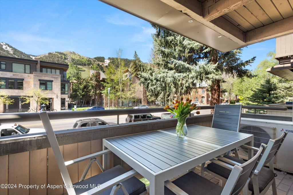 10 of 10 - 600 E Main Street #205, Aspen, CO