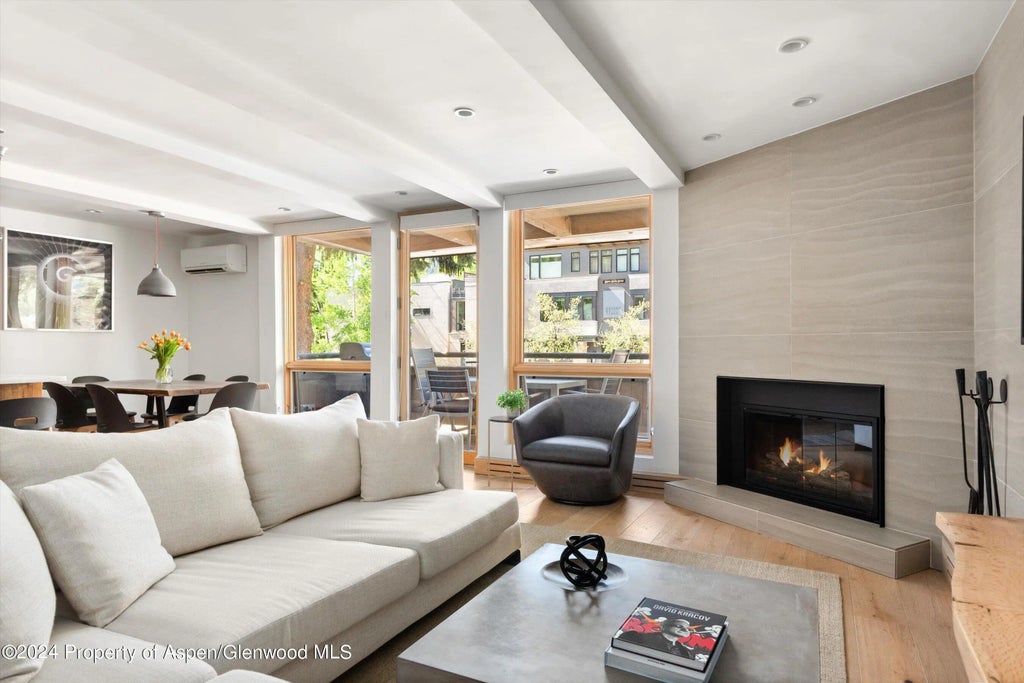 2 of 10 - 600 E Main Street #205, Aspen, CO