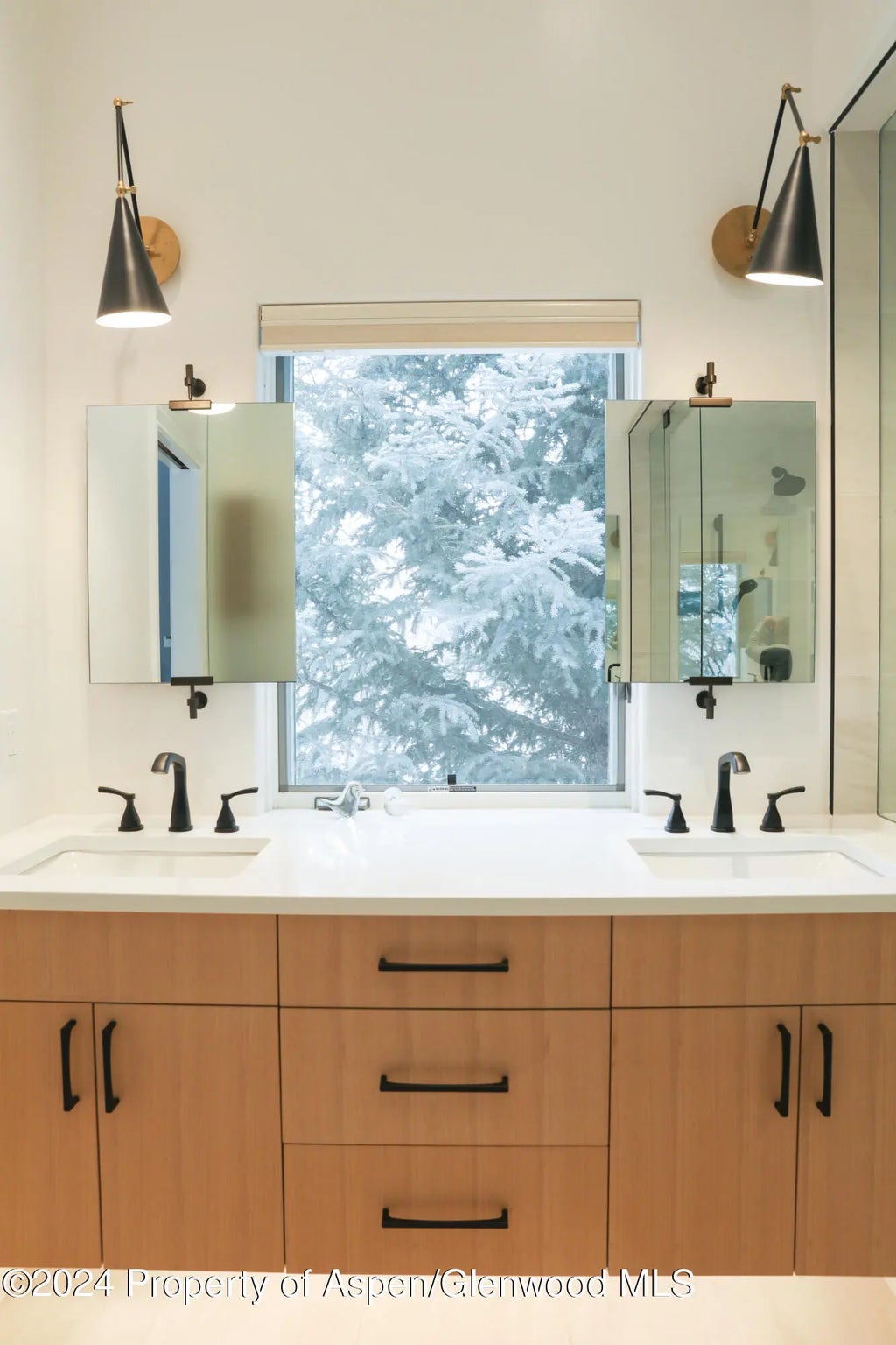 2 of 17 - 364 Summerset Lane, Basalt, CO