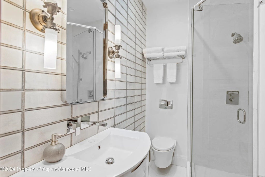 8 of 16 - 800 S Mill Street #306, Aspen, CO