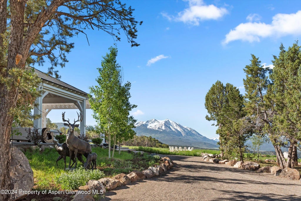 6 of 83 - 5349 County Road 100, Carbondale, CO