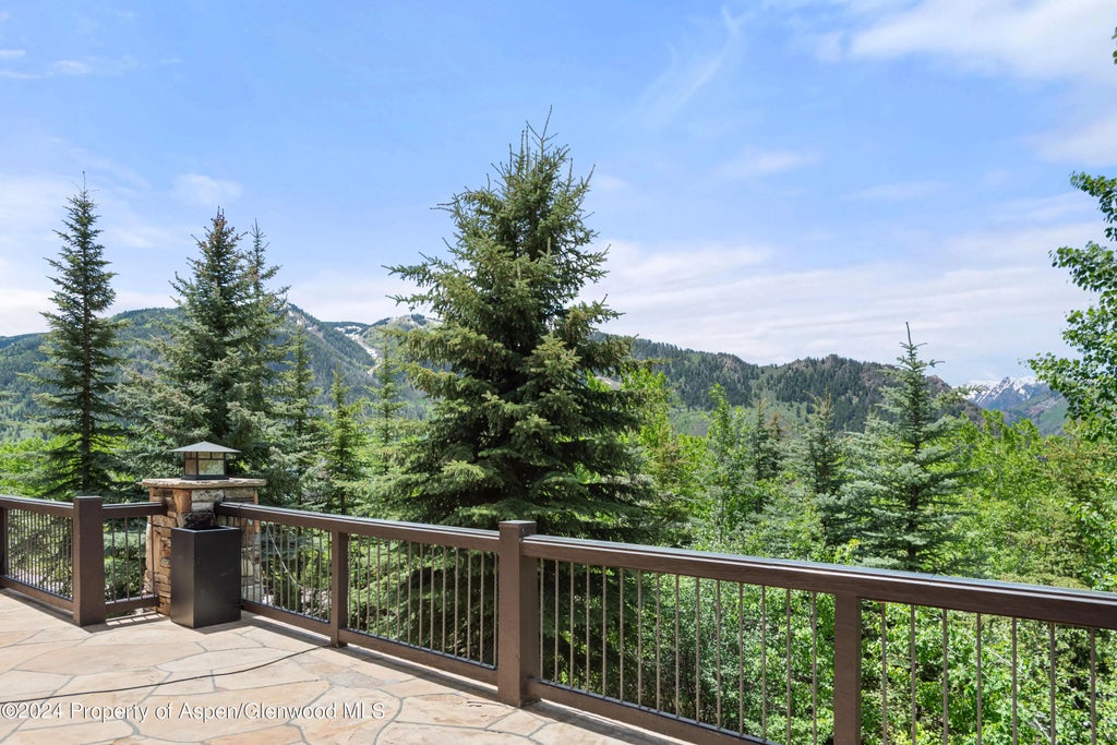 38 of 44 - 705 Spruce Street, Aspen, CO