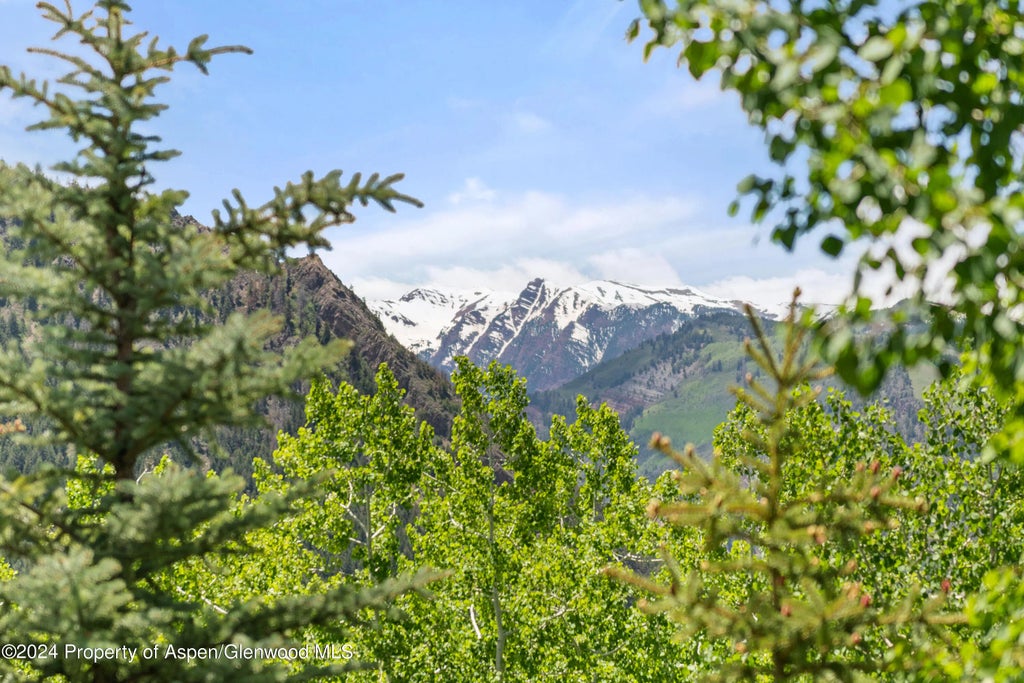 41 of 44 - 705 Spruce Street, Aspen, CO