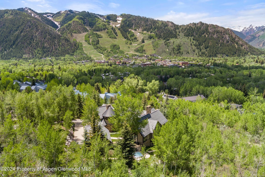 43 of 44 - 705 Spruce Street, Aspen, CO