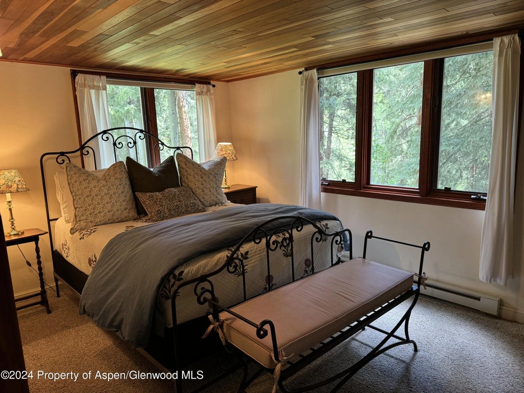 23 of 24 - 9676 Castle Creek Road, Aspen, CO