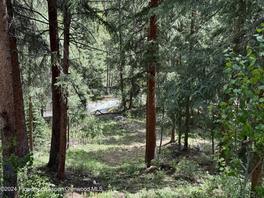24 of 24 - 9676 Castle Creek Road, Aspen, CO