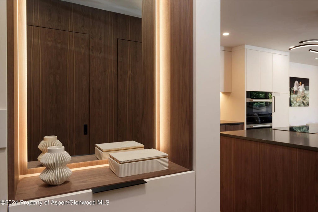 10 of 45 - 205 E Durant Avenue 1-i, Aspen, CO