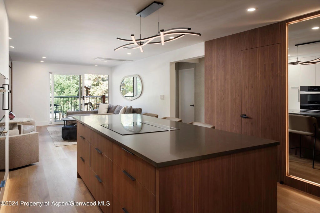 14 of 45 - 205 E Durant Avenue 1-i, Aspen, CO