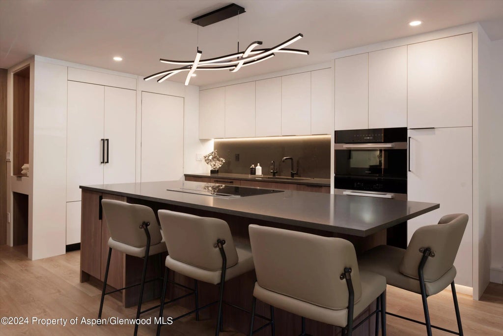 15 of 45 - 205 E Durant Avenue 1-i, Aspen, CO