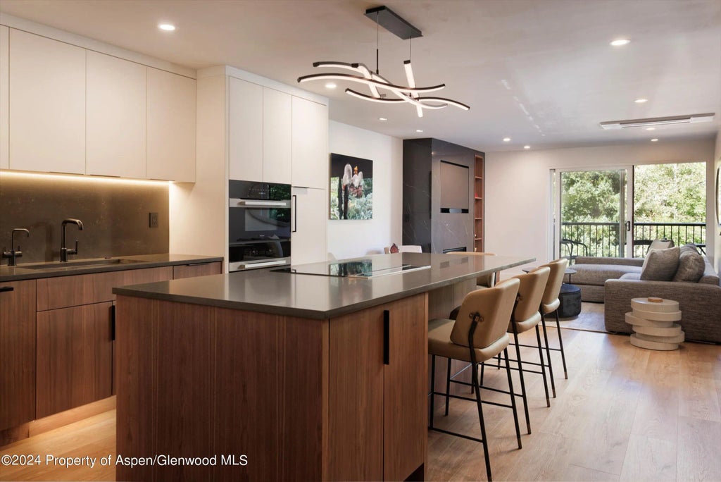 2 of 45 - 205 E Durant Avenue 1-i, Aspen, CO