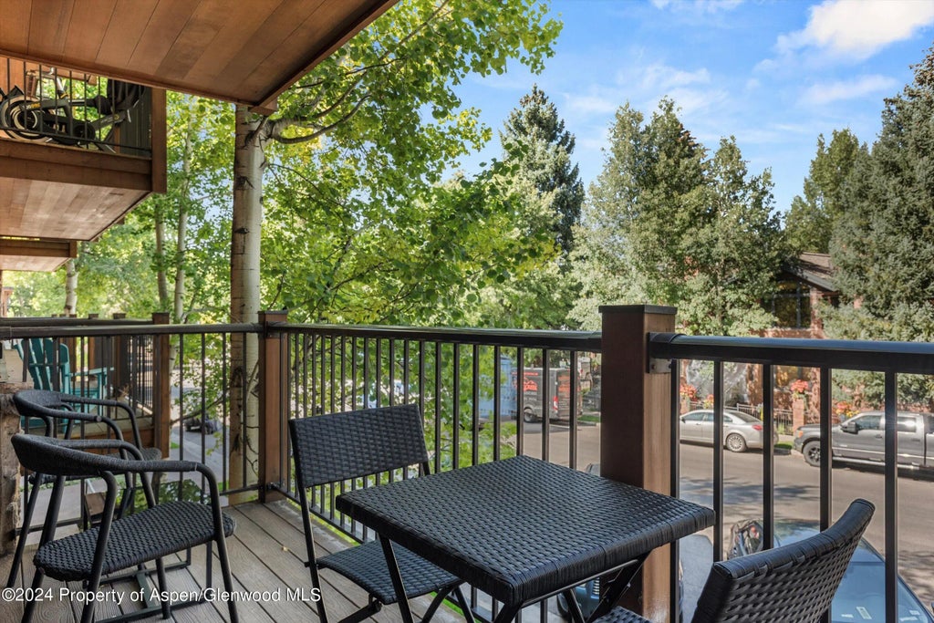 31 of 45 - 205 E Durant Avenue 1-i, Aspen, CO