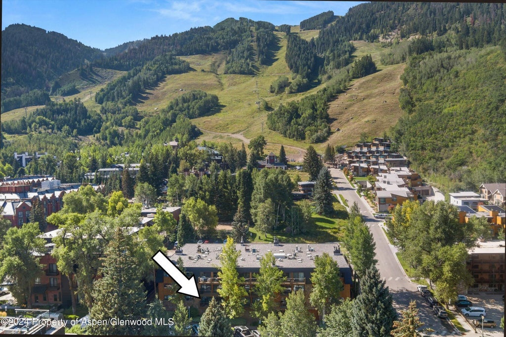 41 of 45 - 205 E Durant Avenue 1-i, Aspen, CO