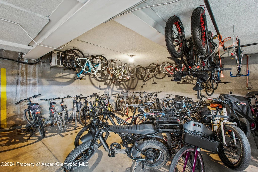 44 of 45 - 205 E Durant Avenue 1-i, Aspen, CO
