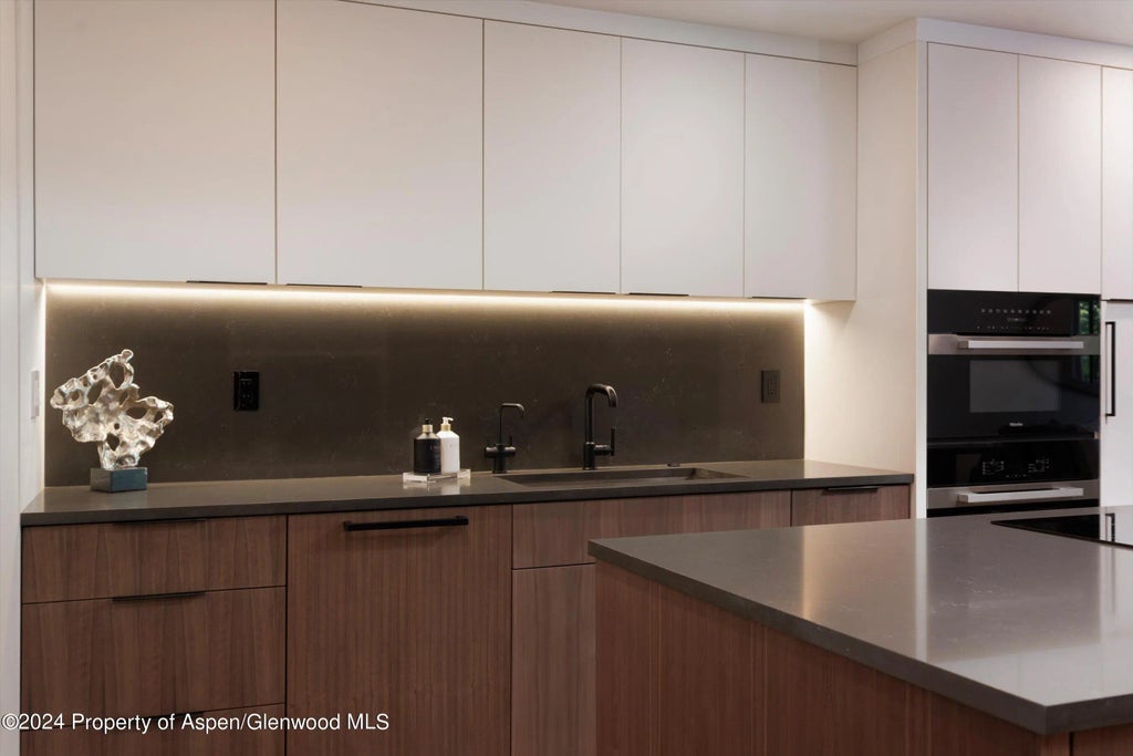 9 of 45 - 205 E Durant Avenue 1-i, Aspen, CO