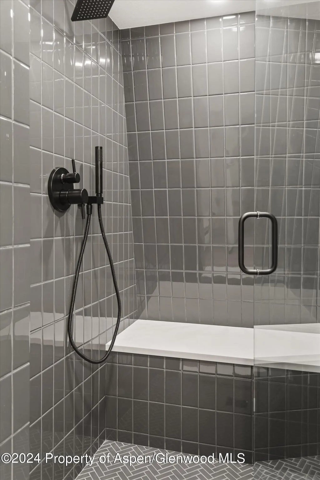 21 of 27 - 501 W Bleeker Street, Aspen, CO