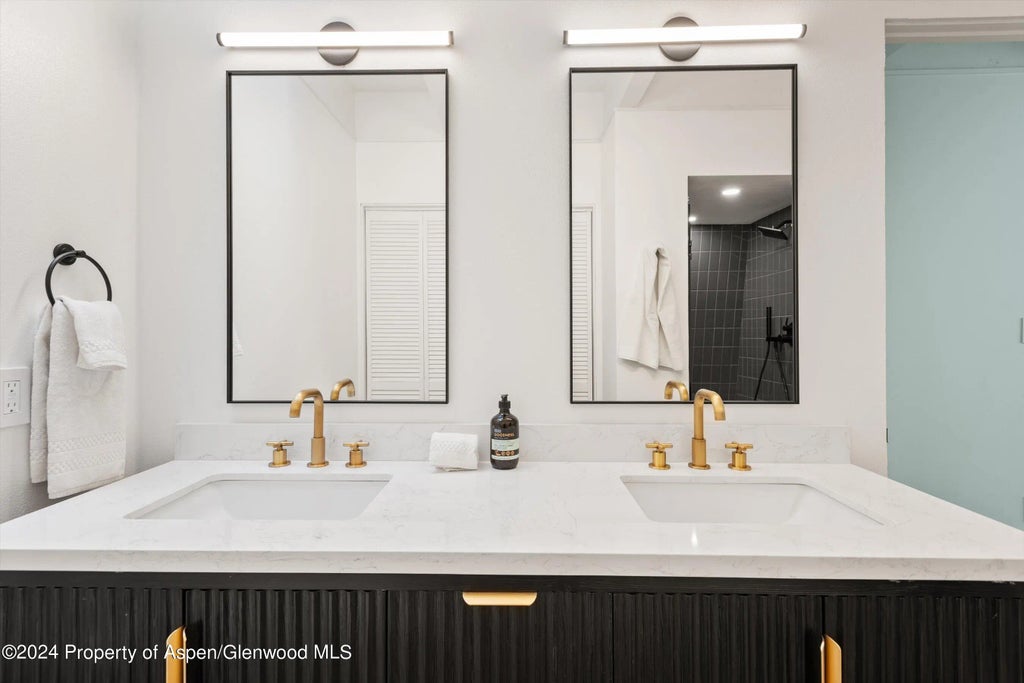 23 of 27 - 501 W Bleeker Street, Aspen, CO