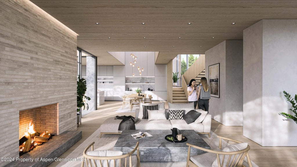 3 of 11 - 1212 E Hopkins Avenue, Aspen, CO