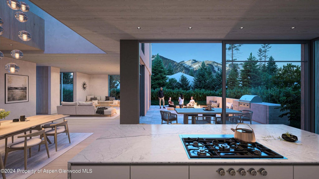 5 of 11 - 1212 E Hopkins Avenue, Aspen, CO