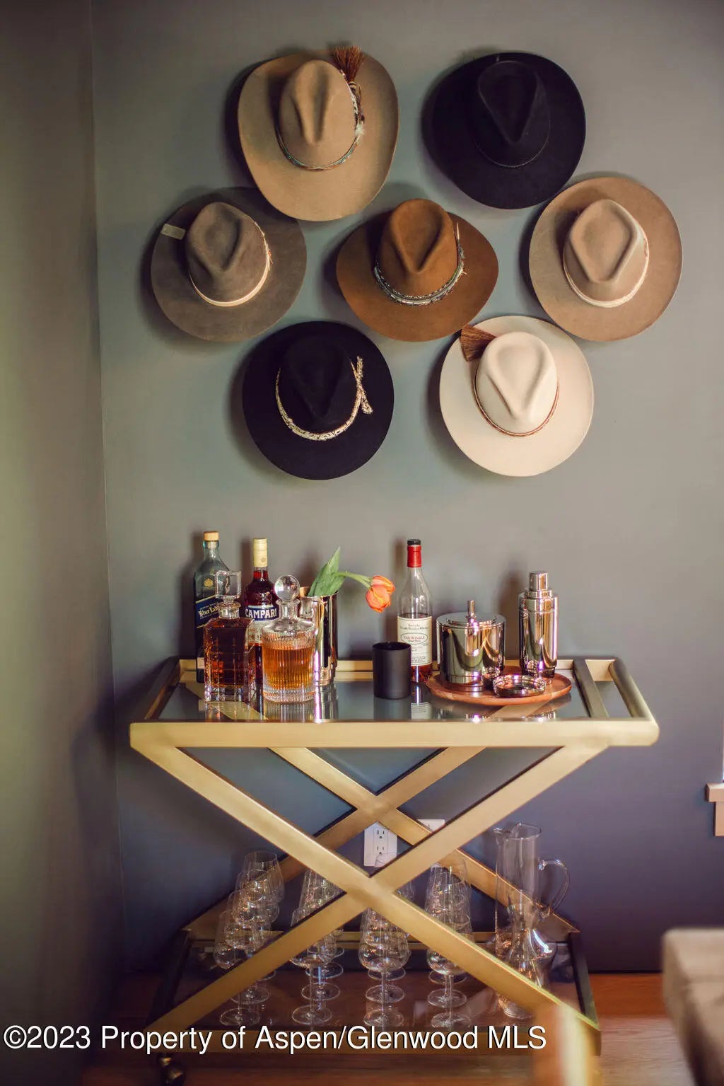 10 of 59 - 1006 E Cooper Avenue, Aspen, CO