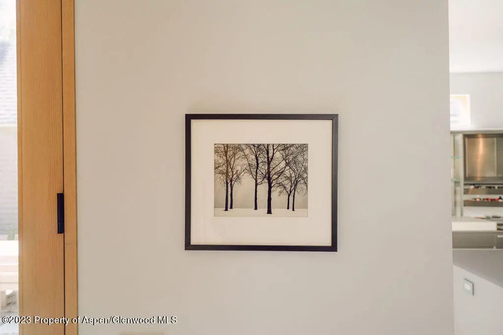 12 of 59 - 1006 E Cooper Avenue, Aspen, CO