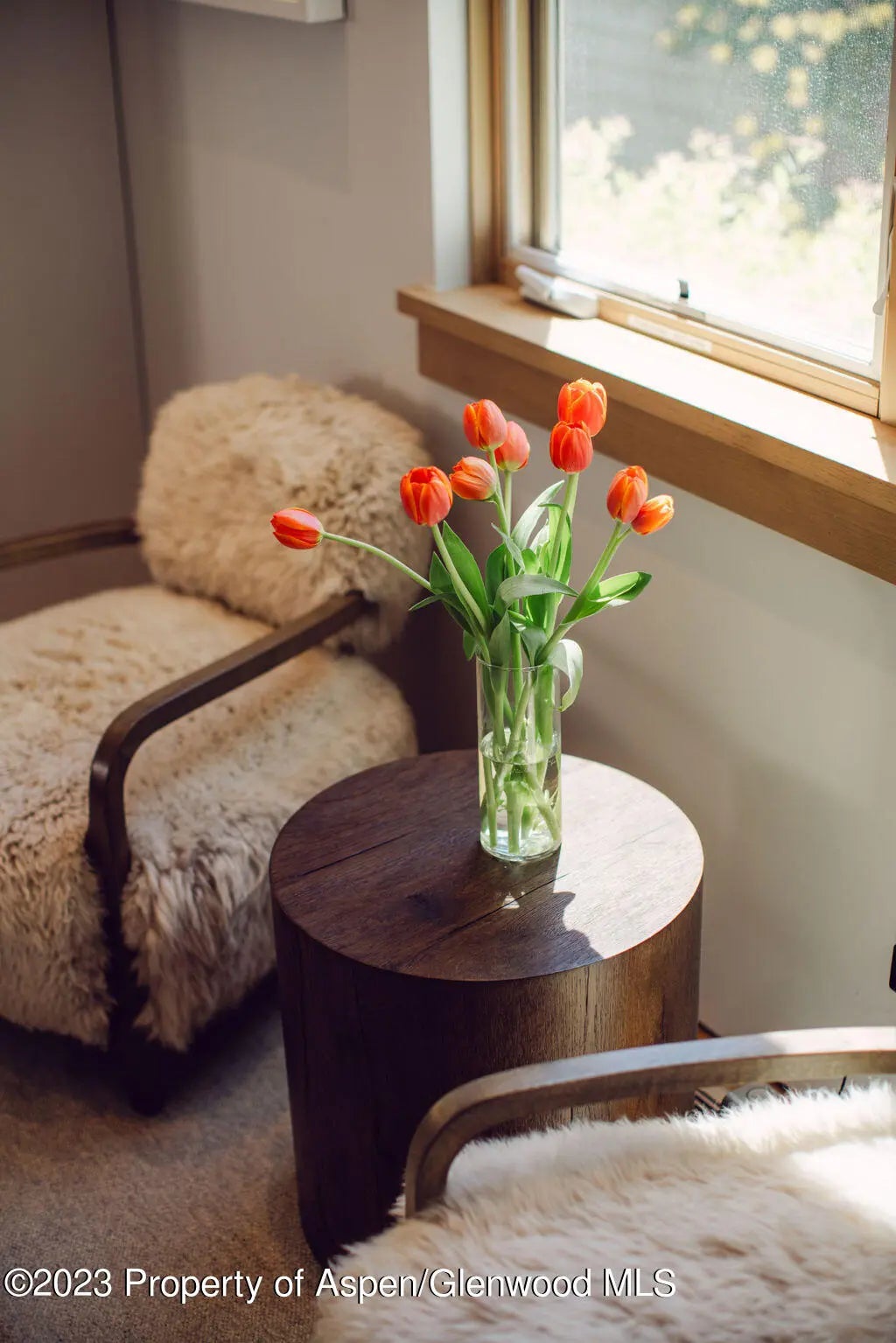 22 of 59 - 1006 E Cooper Avenue, Aspen, CO