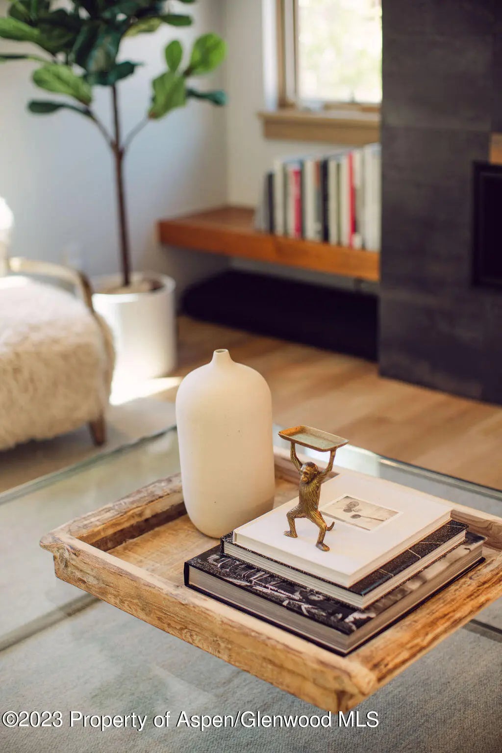 25 of 59 - 1006 E Cooper Avenue, Aspen, CO