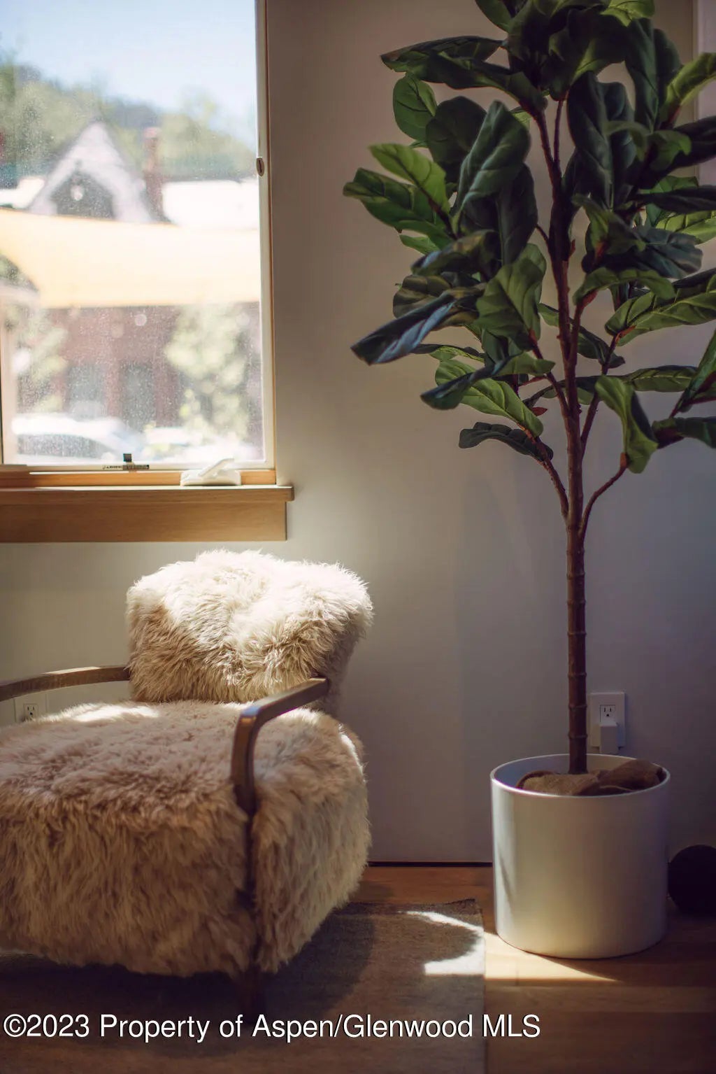 26 of 59 - 1006 E Cooper Avenue, Aspen, CO