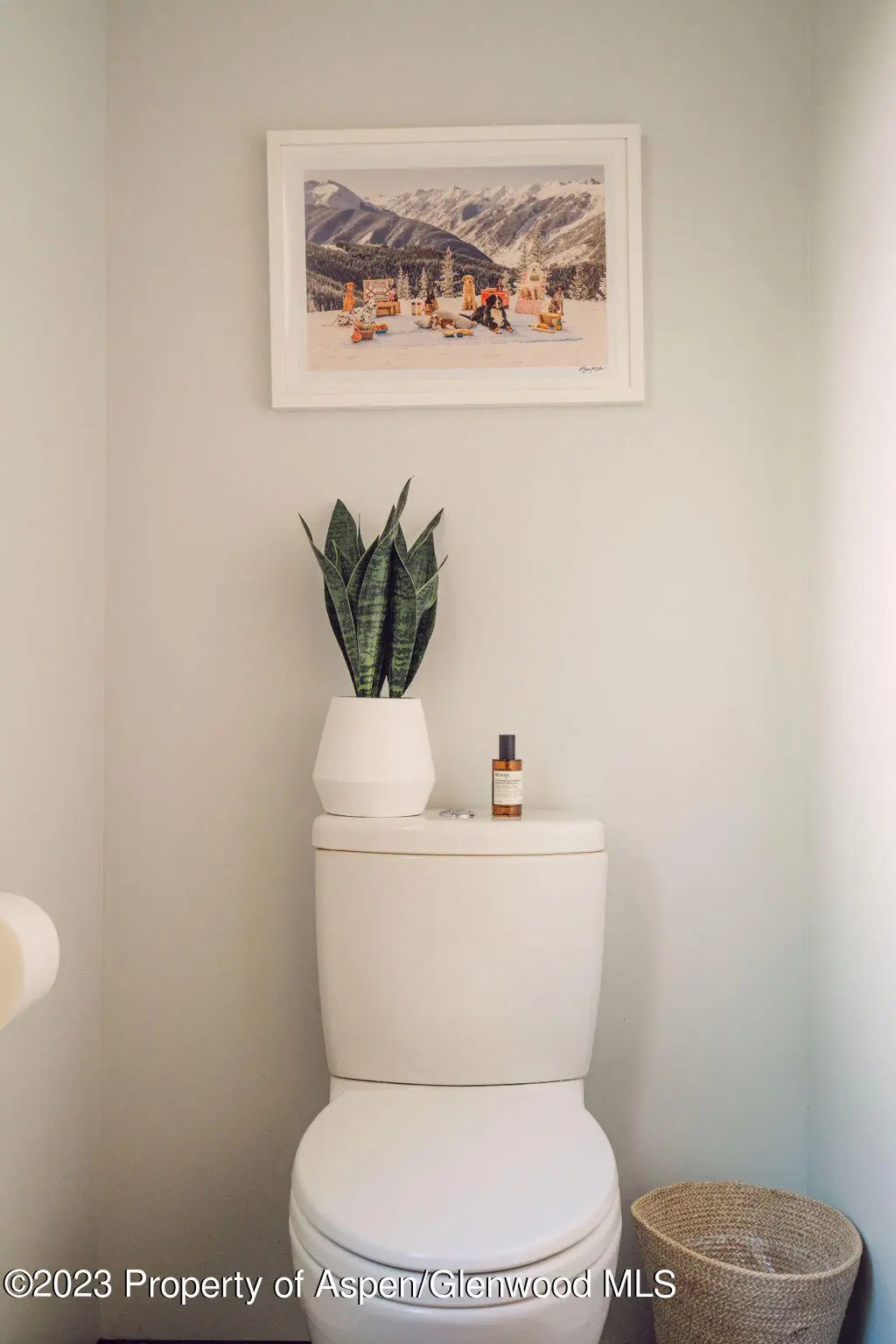 31 of 59 - 1006 E Cooper Avenue, Aspen, CO