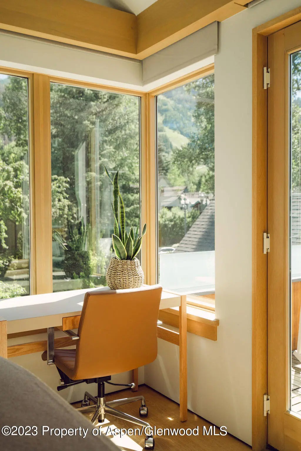 34 of 59 - 1006 E Cooper Avenue, Aspen, CO