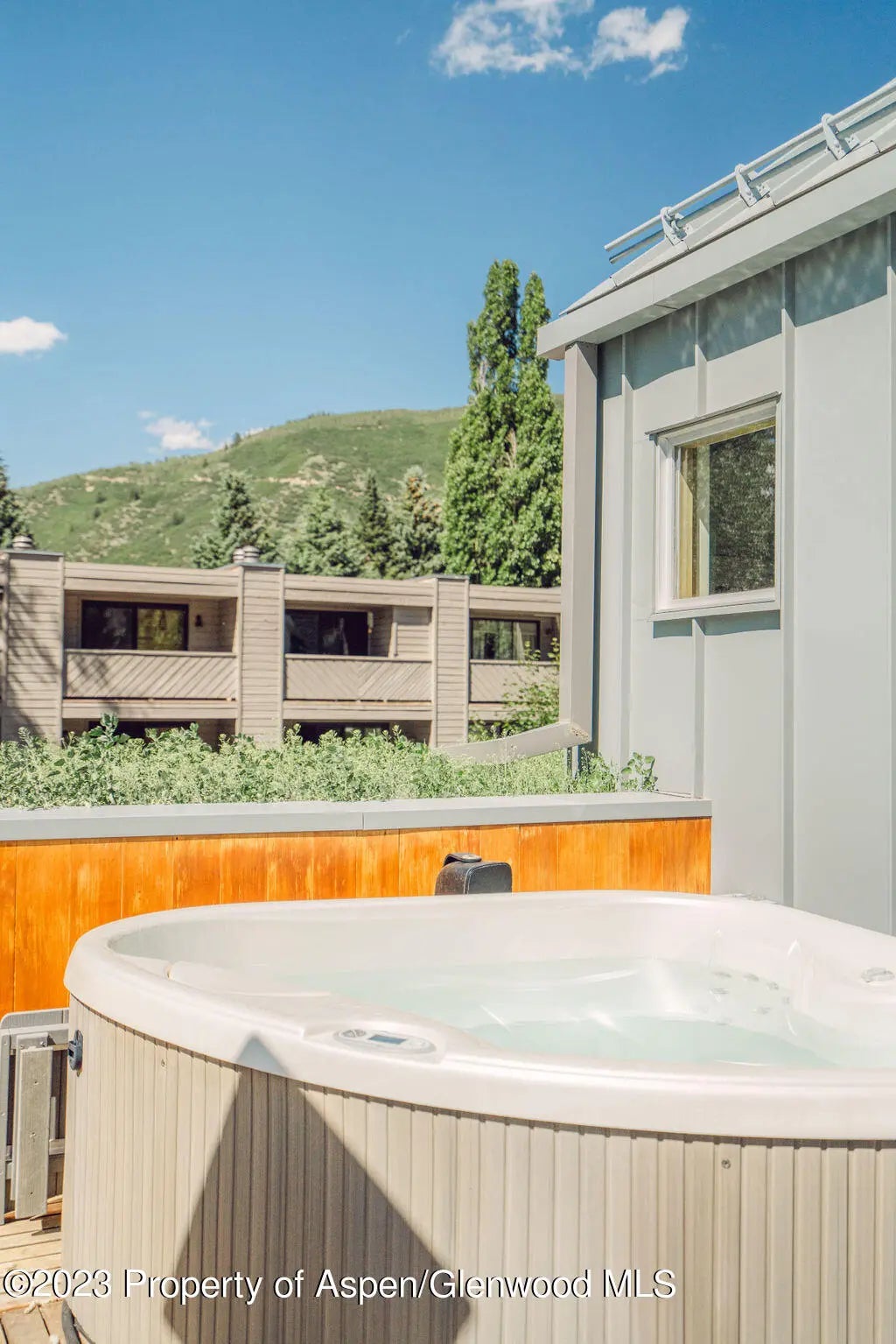 36 of 59 - 1006 E Cooper Avenue, Aspen, CO