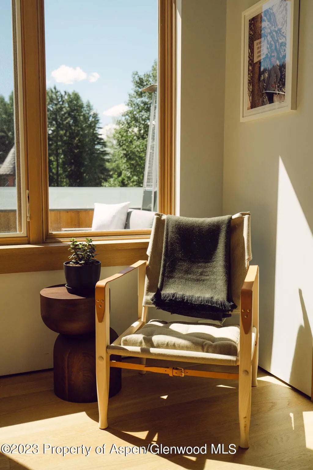 38 of 59 - 1006 E Cooper Avenue, Aspen, CO