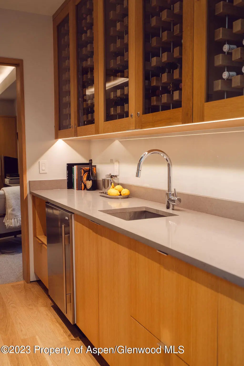 48 of 59 - 1006 E Cooper Avenue, Aspen, CO