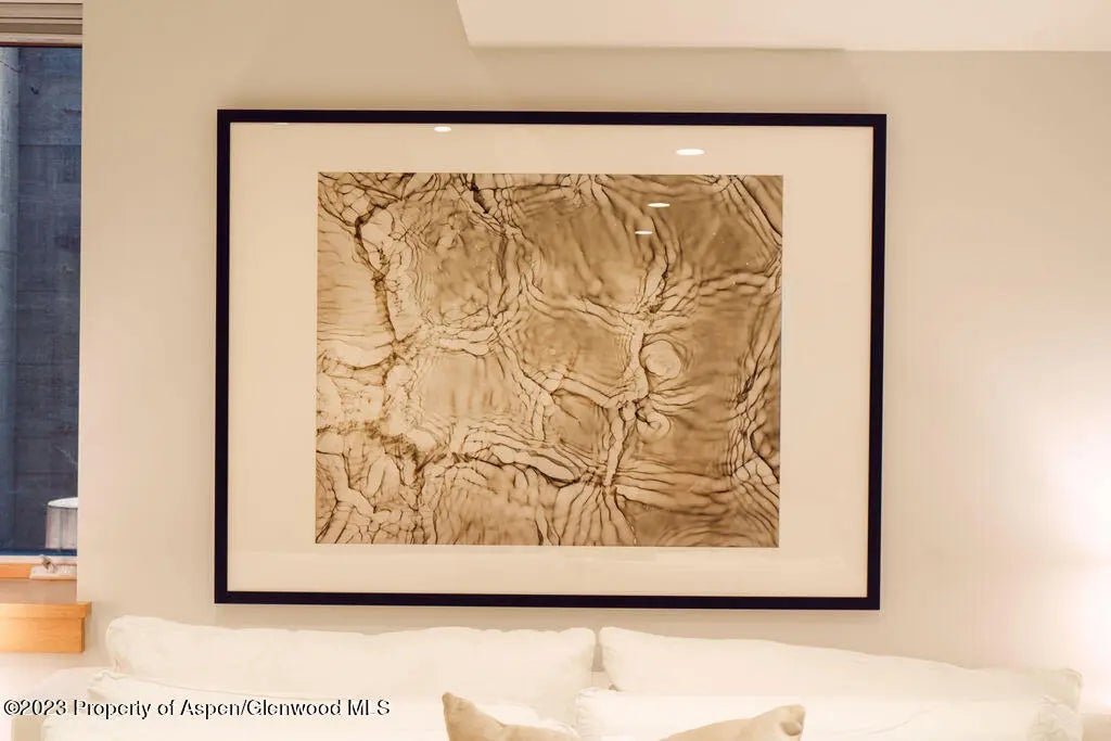 51 of 59 - 1006 E Cooper Avenue, Aspen, CO