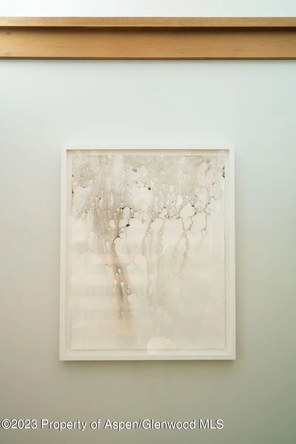 53 of 59 - 1006 E Cooper Avenue, Aspen, CO