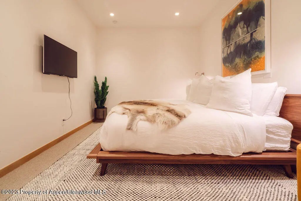 55 of 59 - 1006 E Cooper Avenue, Aspen, CO