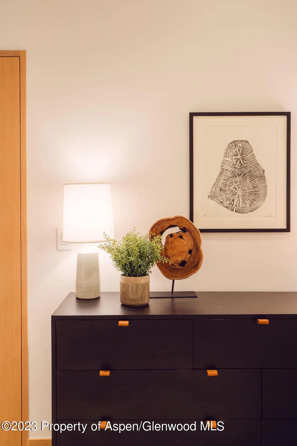 56 of 59 - 1006 E Cooper Avenue, Aspen, CO