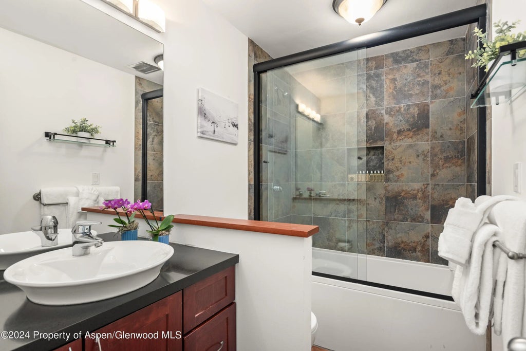 10 of 11 - 940 Waters Avenue 302, Aspen, CO