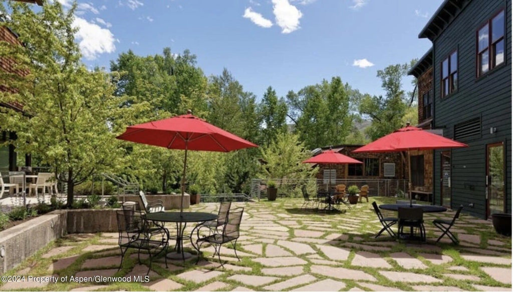 11 of 31 - 231 Midland Avenue 101, Basalt, CO