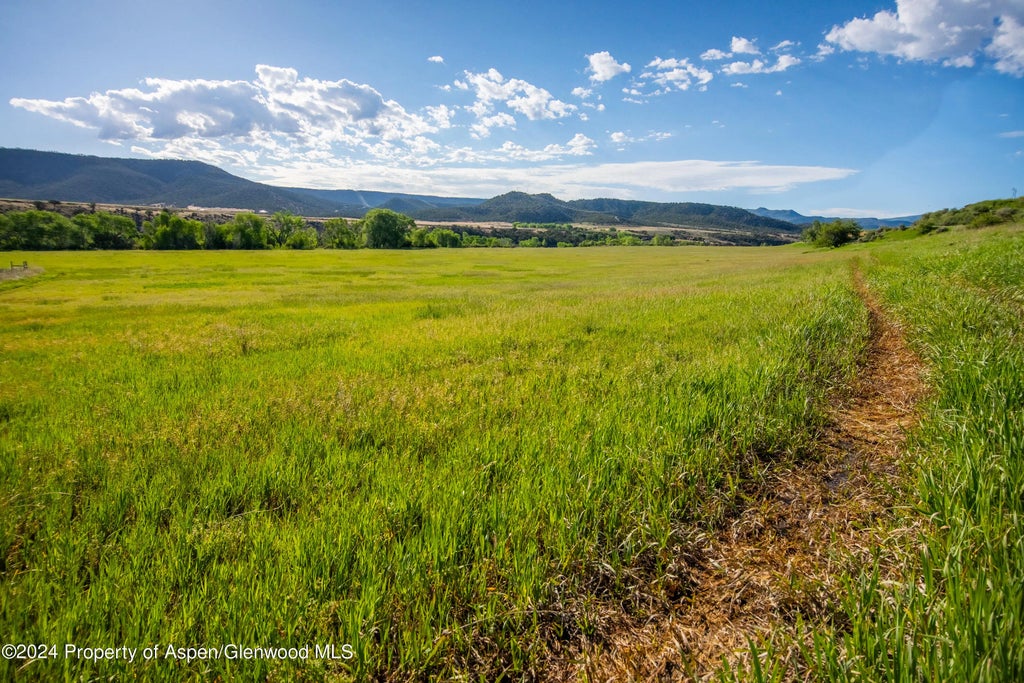 14 of 24 - 584 County Road 331, Silt, CO