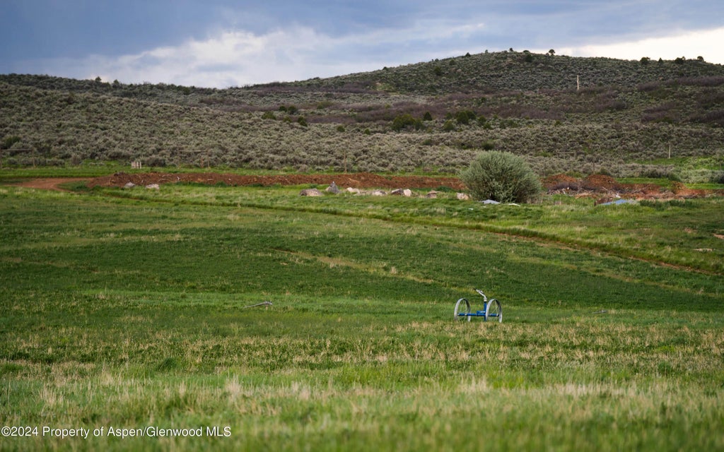 19 of 19 - 3961 County Road 114, Glenwood Springs, CO