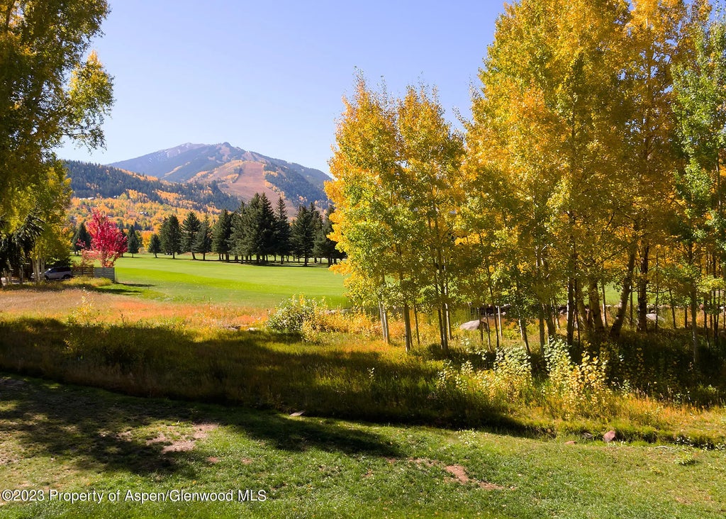 4 of 23 - 767 Cemetery Lane, Aspen, CO
