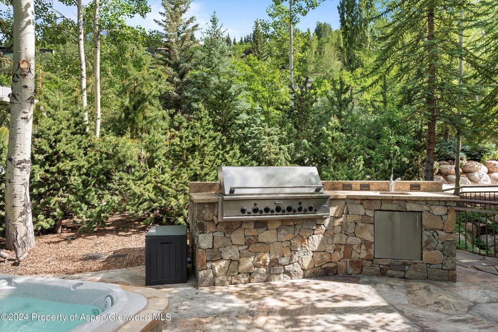 51 of 61 - 27 Nighthawk Drive, Aspen, CO