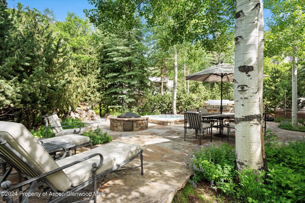 8 of 61 - 27 Nighthawk Drive, Aspen, CO