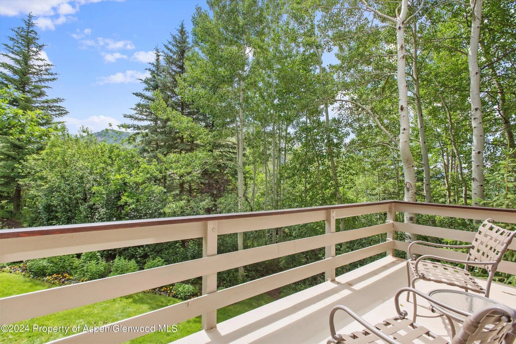 12 of 42 - 209 Larkspur Lane, Aspen, CO