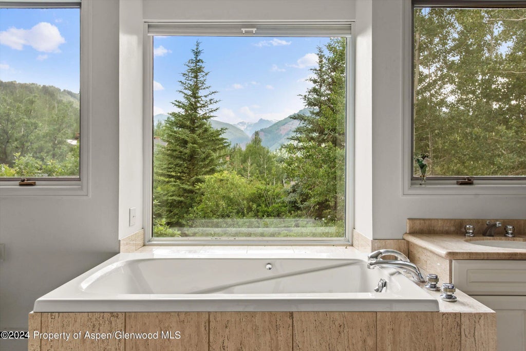 23 of 42 - 209 Larkspur Lane, Aspen, CO
