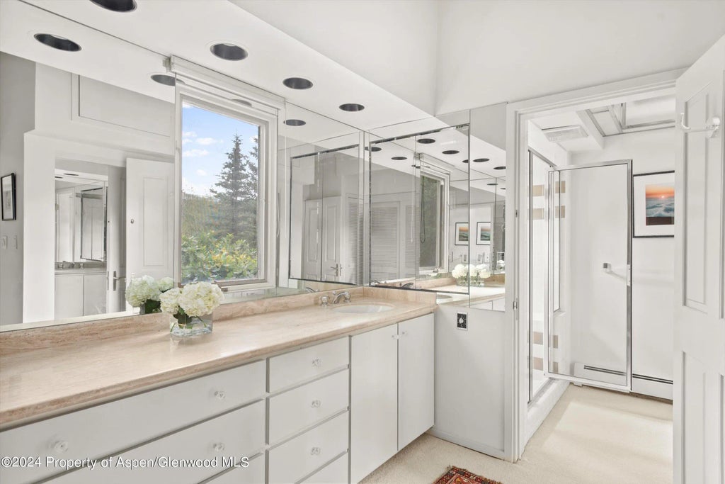 27 of 45 - 209 Larkspur Lane, Aspen, CO