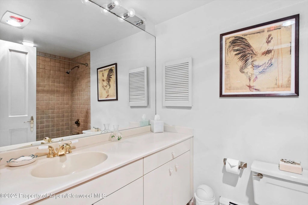 29 of 45 - 209 Larkspur Lane, Aspen, CO