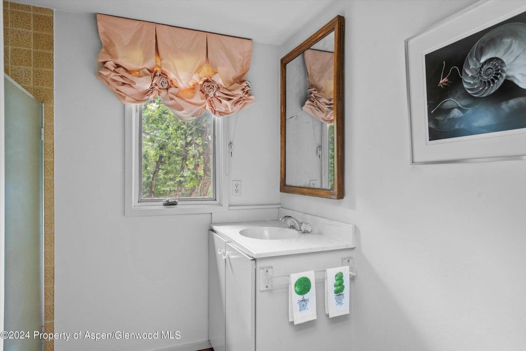 32 of 42 - 209 Larkspur Lane, Aspen, CO
