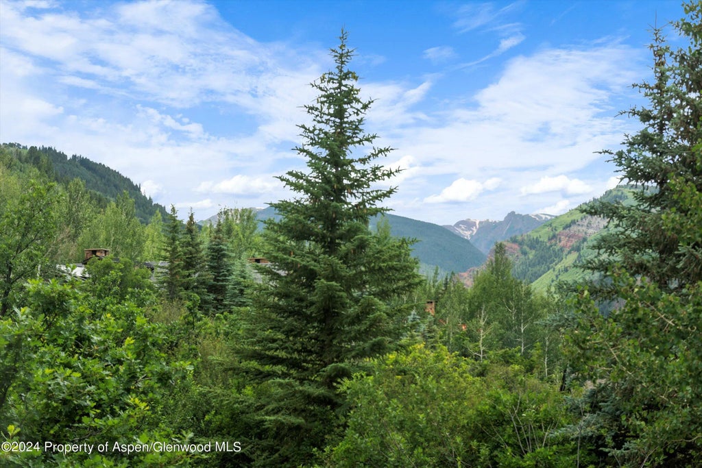 33 of 42 - 209 Larkspur Lane, Aspen, CO